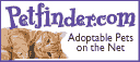 petfinder.jpg